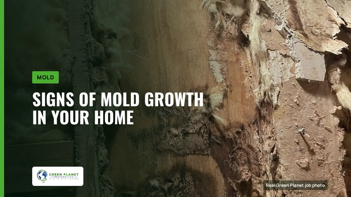 Signs of Mold Growth in Your Home | Green Planet Restoration