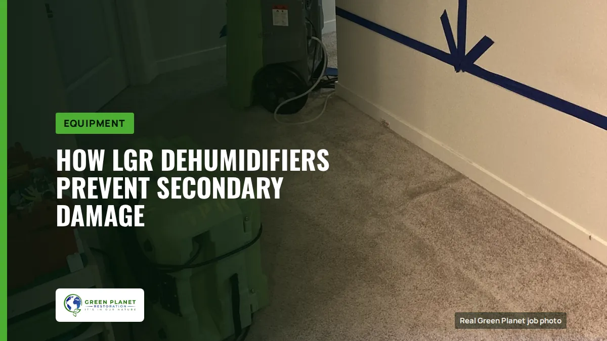 How LGR Dehumidifiers Prevent Secondary Damage | Green Planet Restoration