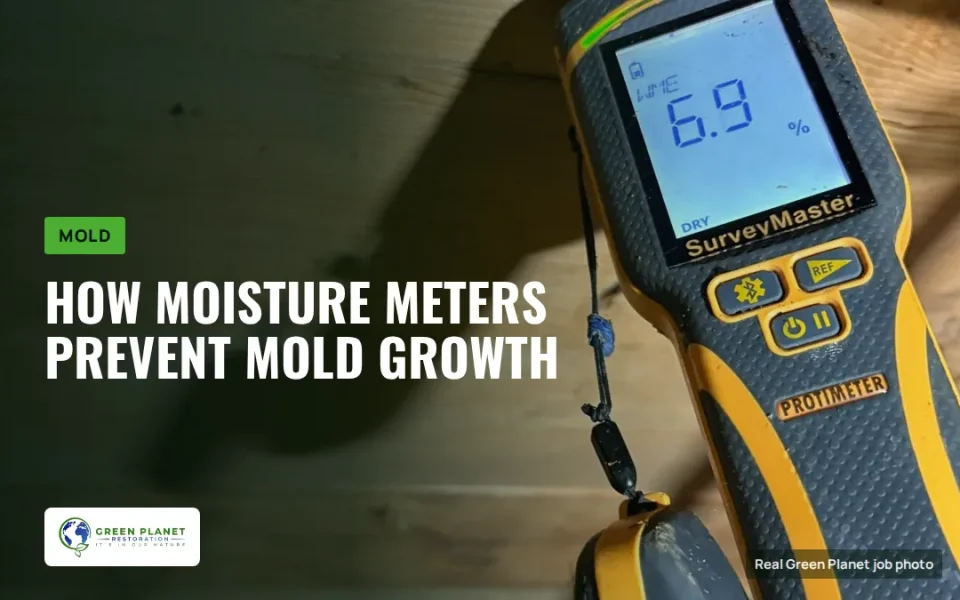 How Moisture Meters Prevent Mold Growth