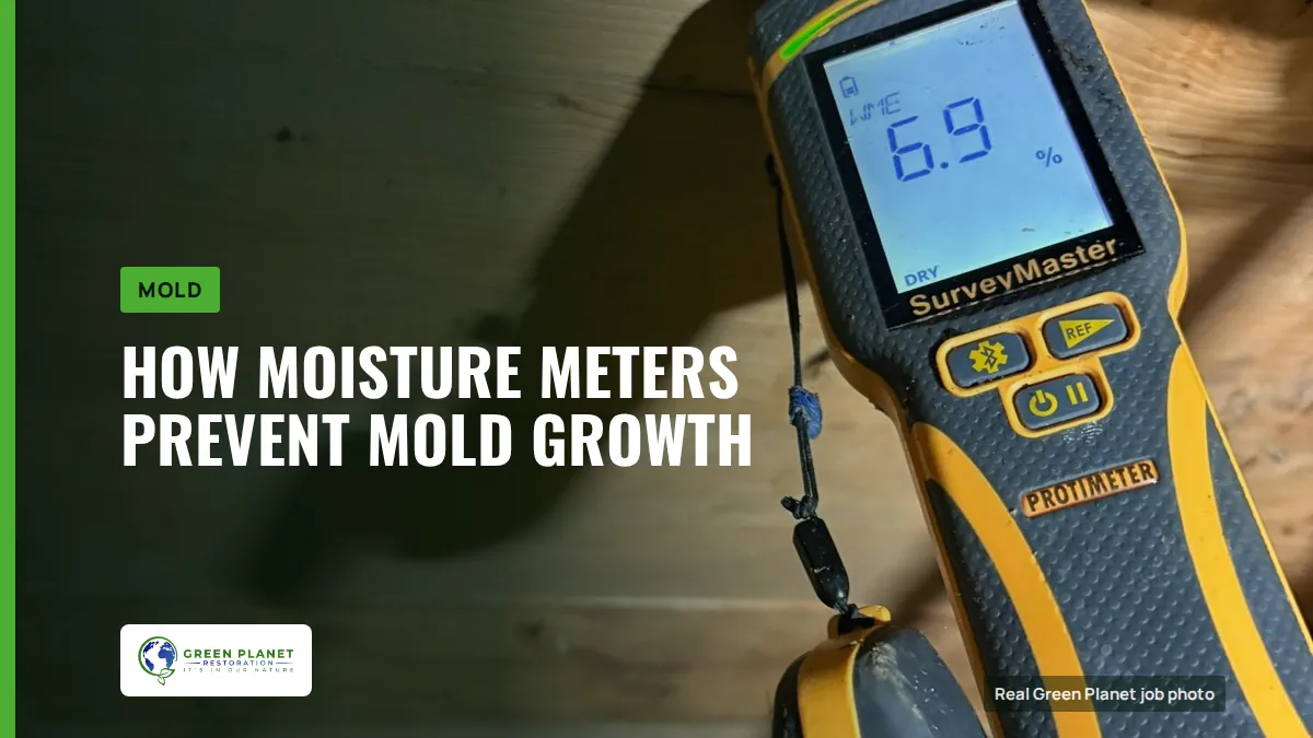 How Moisture Meters Prevent Mold Growth | Green Planet Restoration