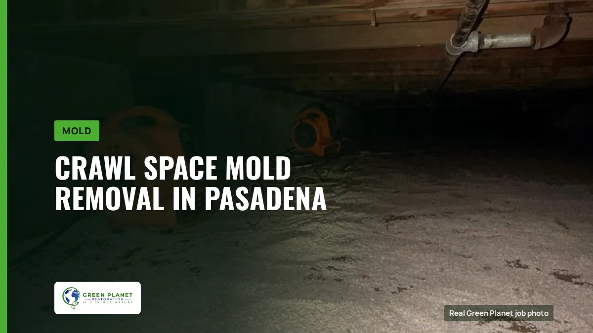 Crawl Space Mold Removal in Pasadena | Green Planet Restoration