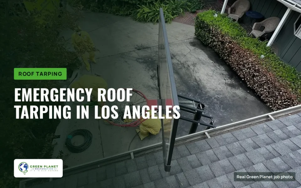 News: It’s Raining in Los Angeles! Protect Your Roof with Emergency Roof Tarping Help from Green Planet Restoration of LA!