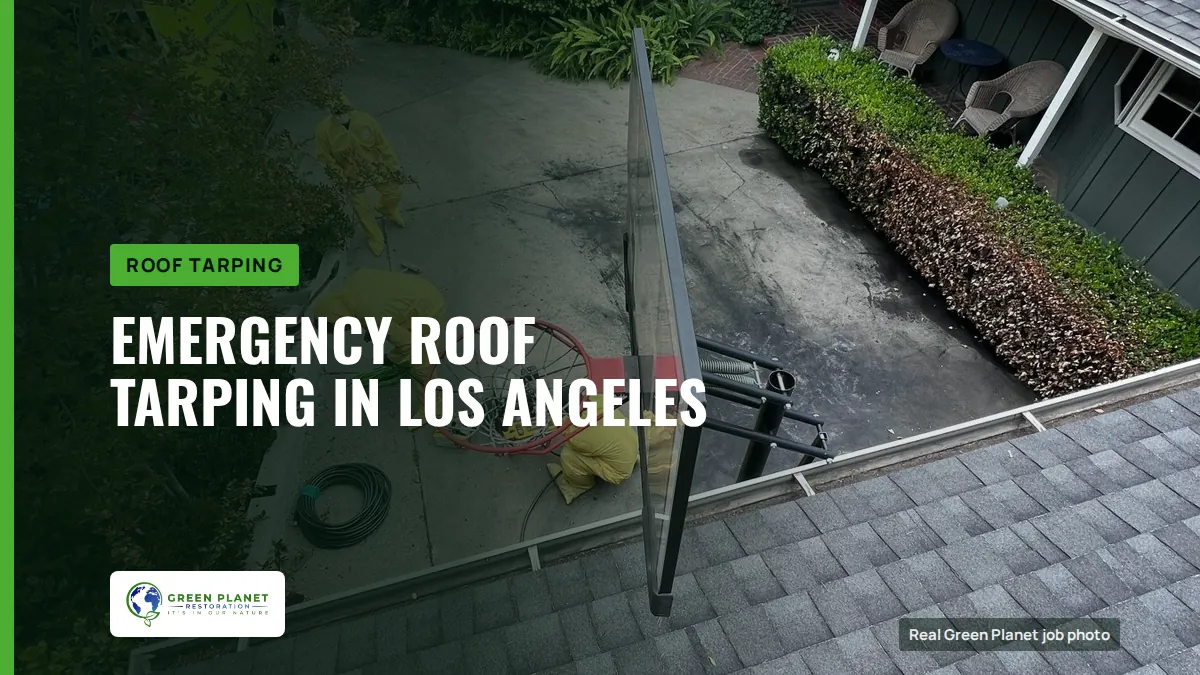 Emergency Roof Tarping in Los Angeles | Green Planet Restoration