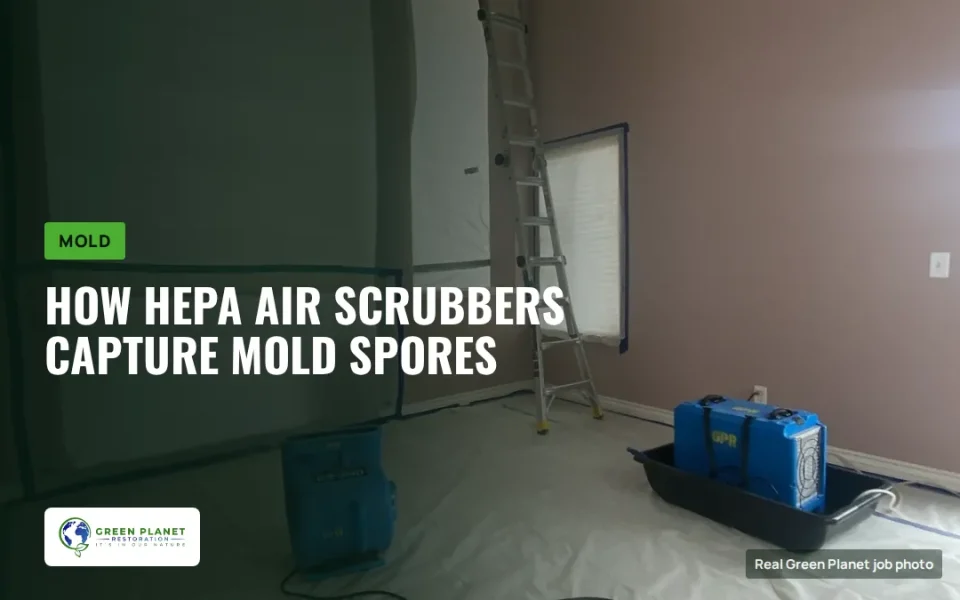 How HEPA Air Scrubbers Capture Mold Spores in Water-Damaged Properties