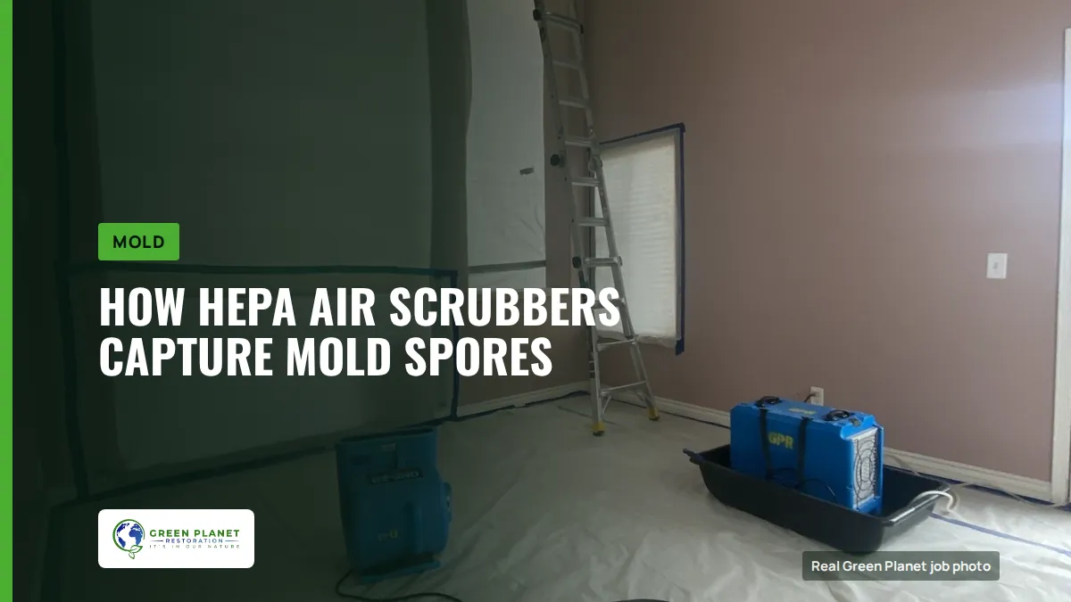 How HEPA Air Scrubbers Capture Mold Spores | Green Planet Restoration