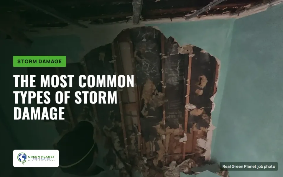 The Most Common Types of Storm Damage to Homes