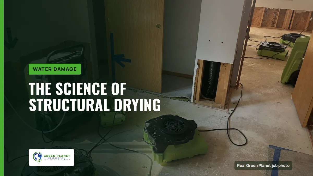 The Science of Structural Drying | Green Planet Restoration