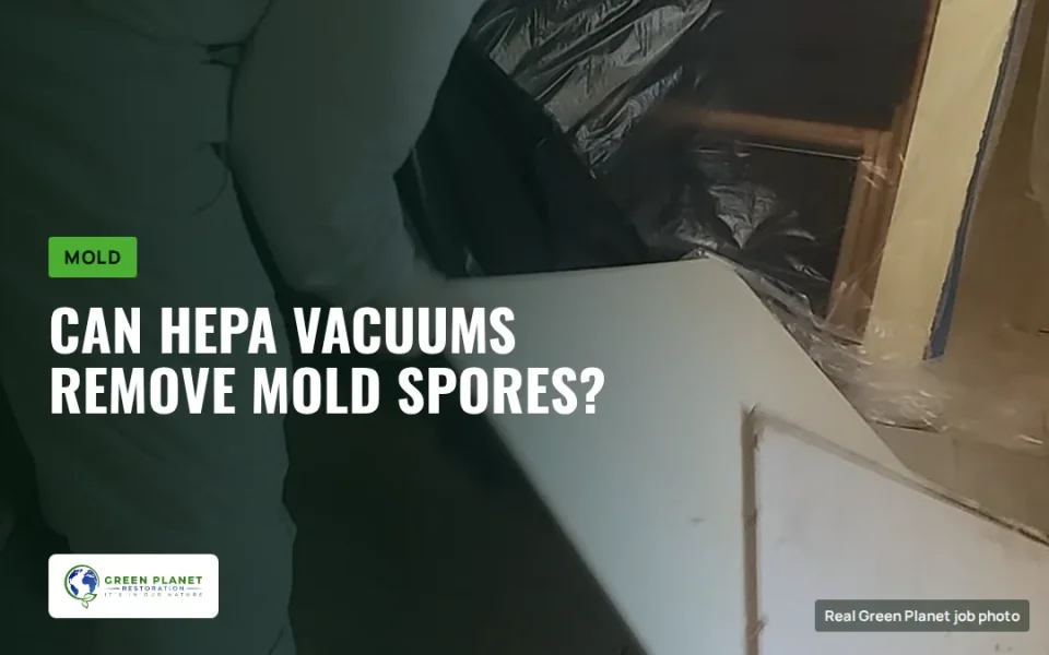 HEPA Vacuums for Mold Remediation: Can HEPA Vacuums Remove Mold Spores Completely?