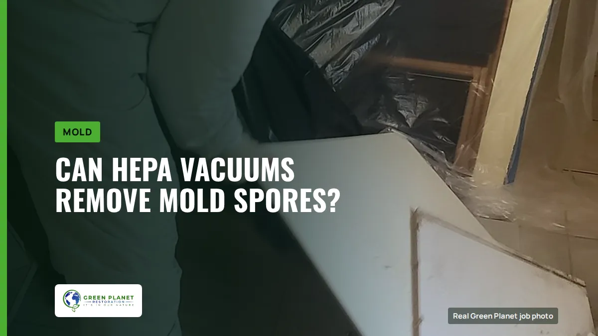 Can HEPA Vacuums Remove Mold Spores? | Green Planet Restoration