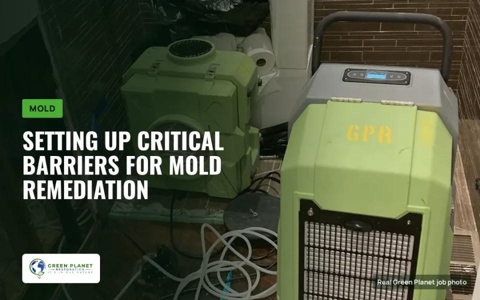 Setting Up Critical Barriers During Mold Remediation Seattle