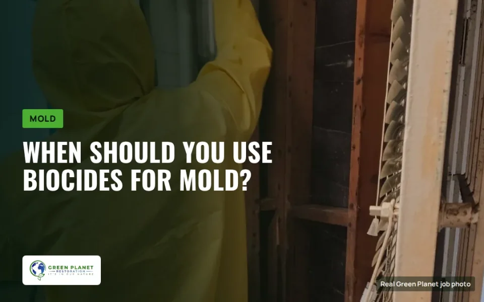 When Should You Use Biocides For Mold?