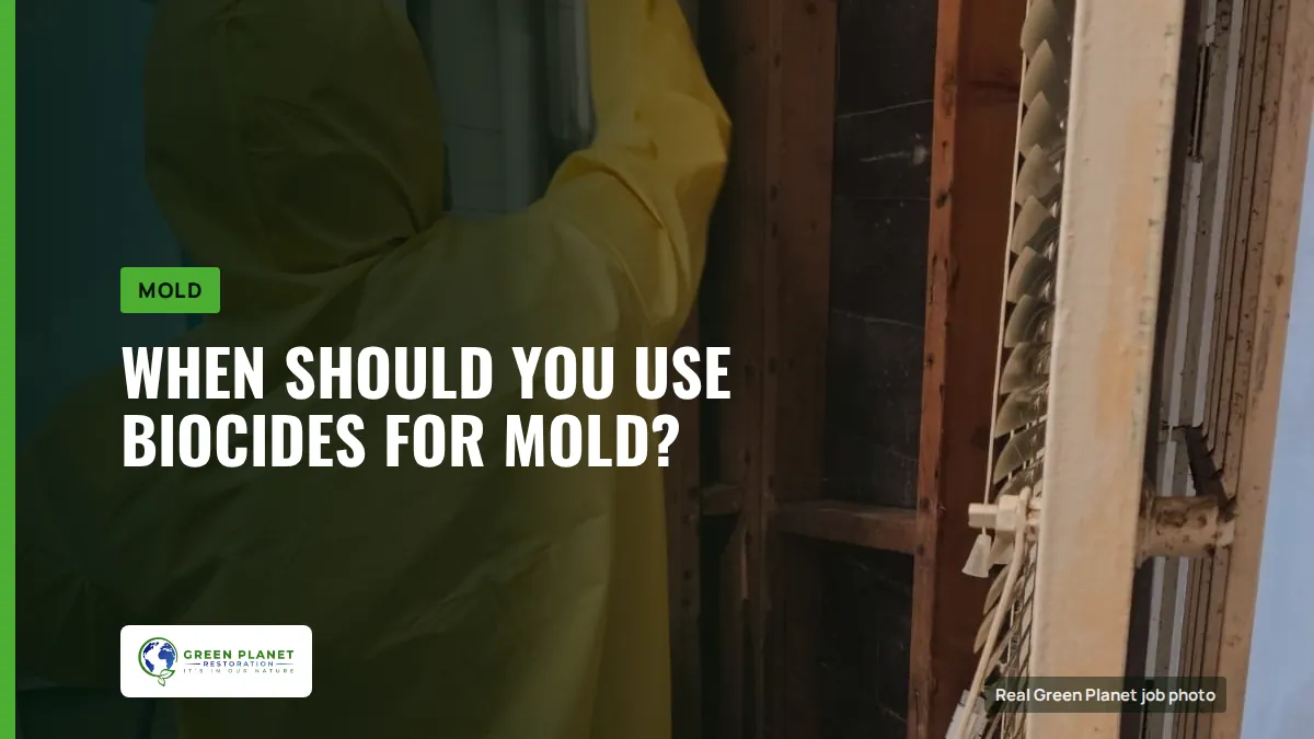 When Should You Use Biocides for Mold? | Green Planet Restoration