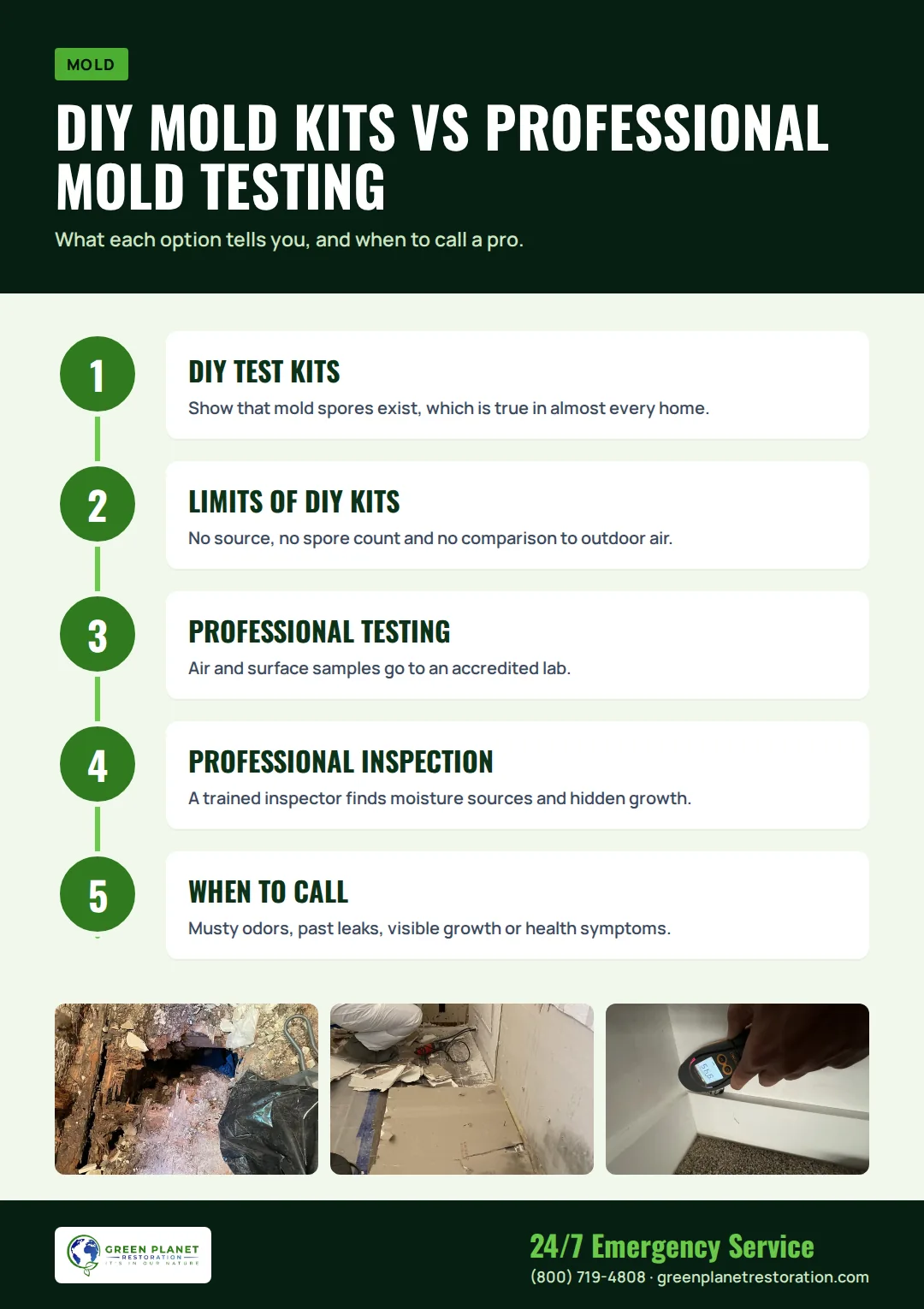 Infographic: DIY Mold Kits vs Professional Mold Testing