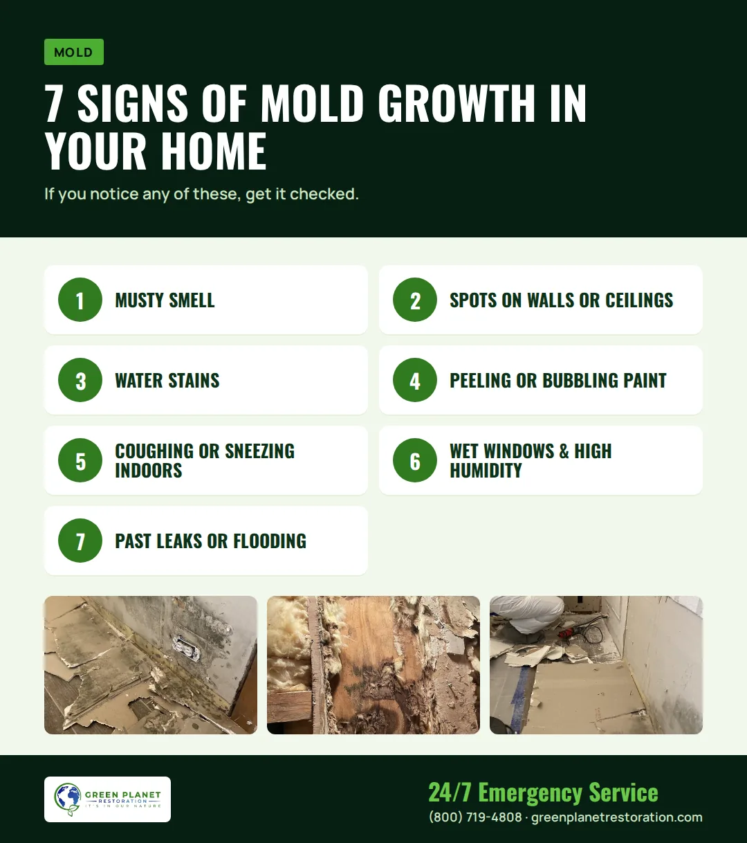 Infographic: 7 Signs of Mold Growth in Your Home