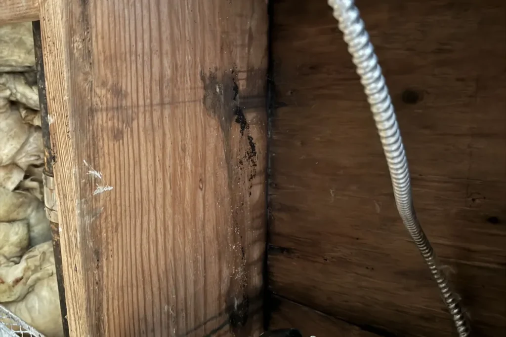 Documenting moisture readings for the insurance file