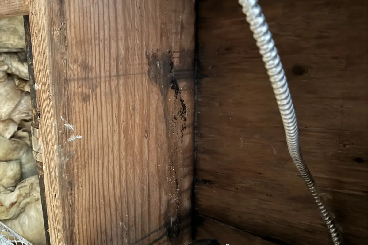 Documenting moisture readings for the insurance file