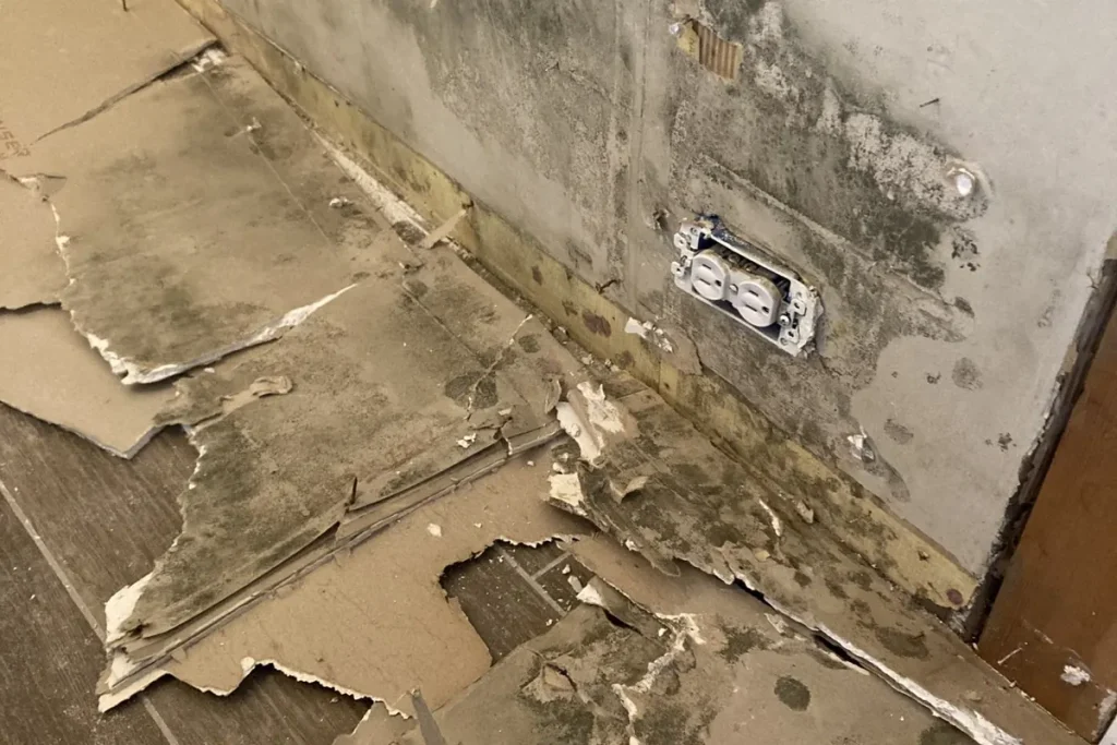 Mold growth found behind removed drywall