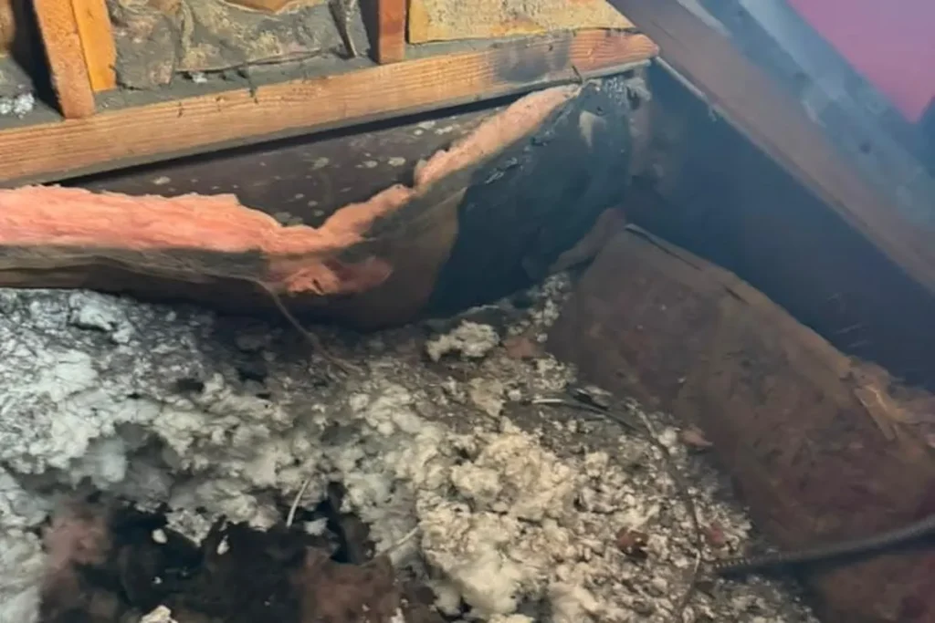 Roof opening exposing the attic