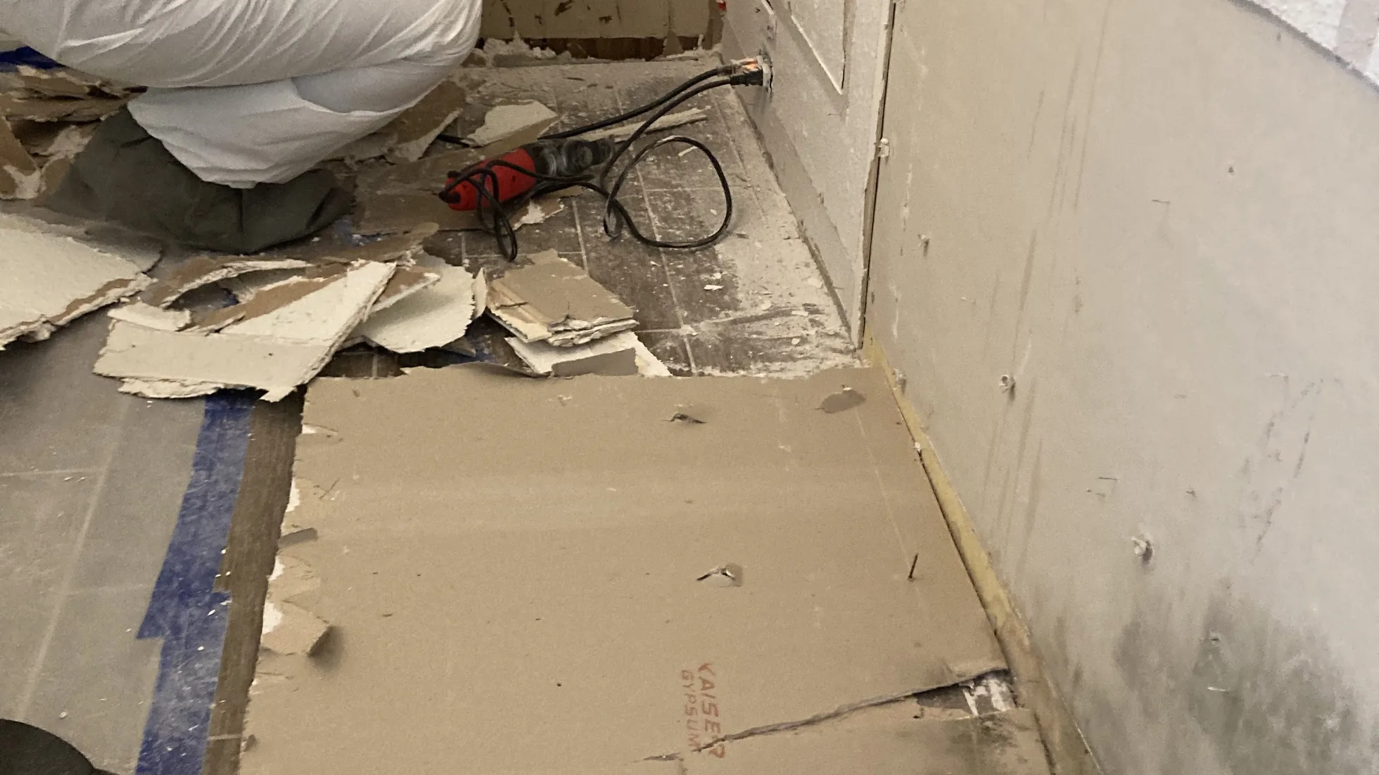 Commercial and Multi-Family Mold