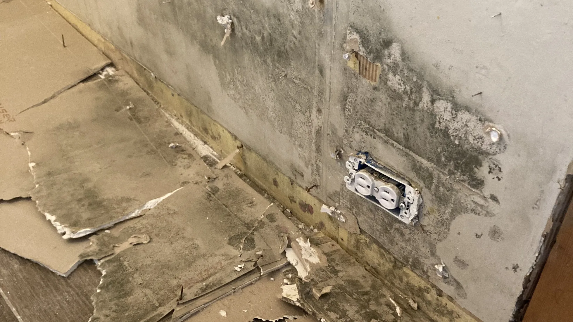 mold-removal-testing-guide-1