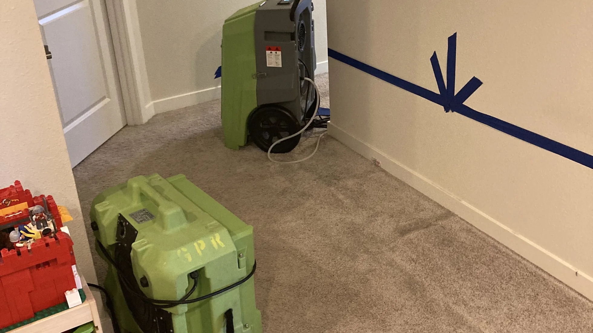 DIY vs Professional Mold Removal