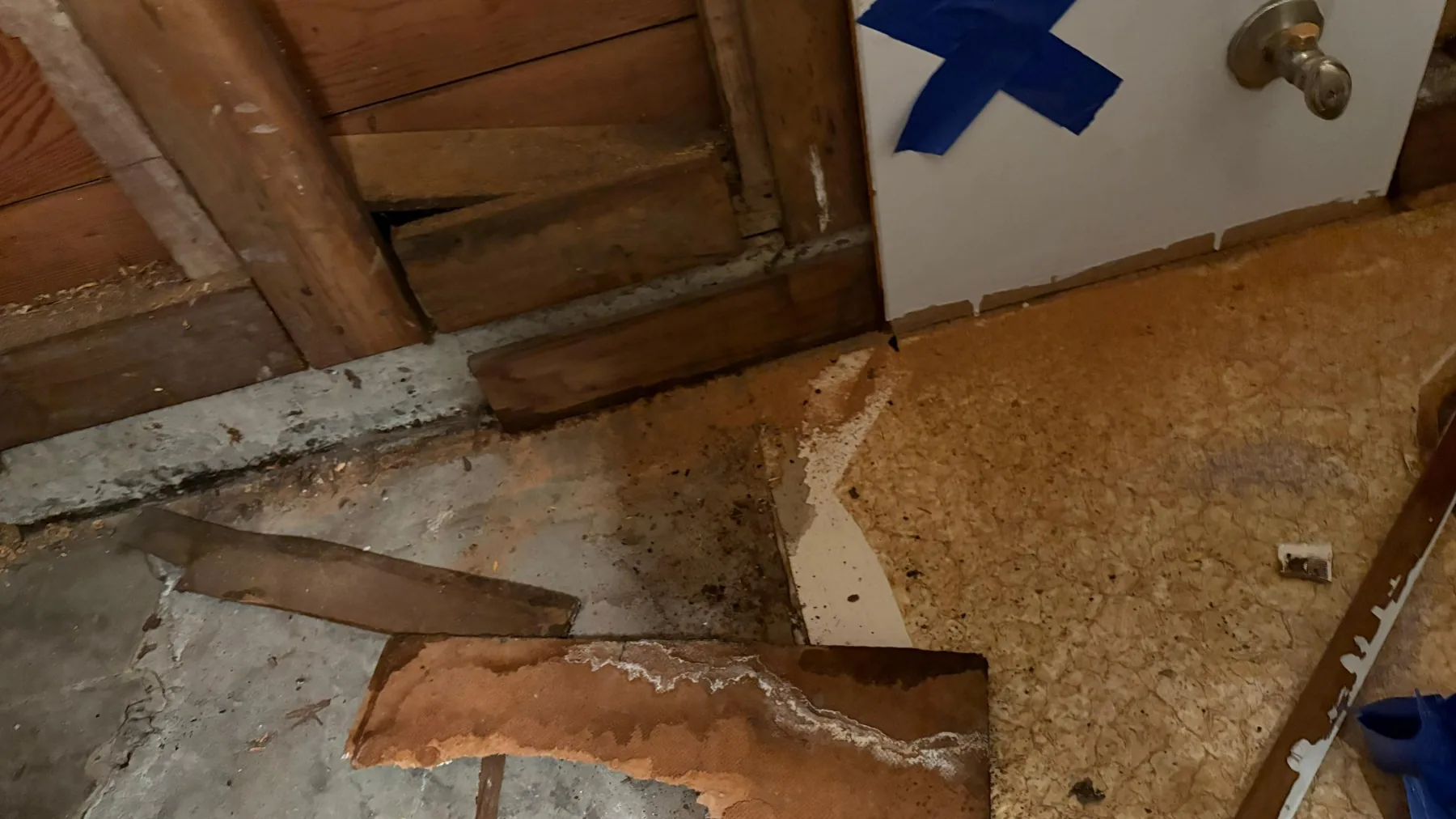 Preventing Mold