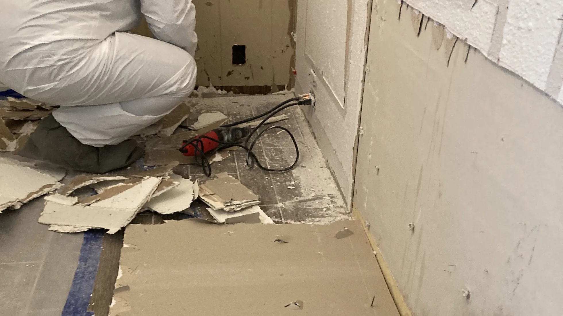 mold-removal-testing-hero