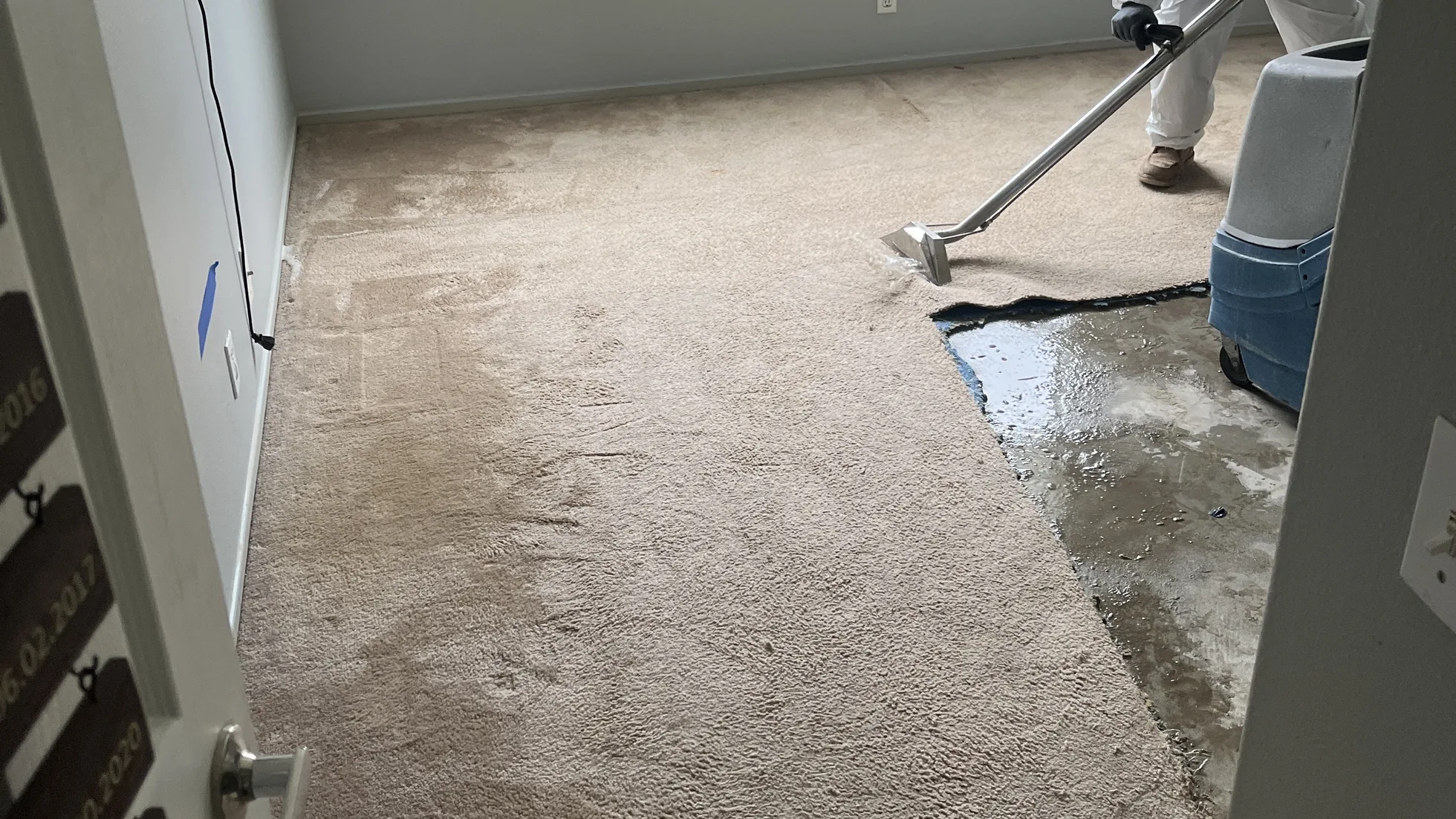 Technician extracting water from wet carpet