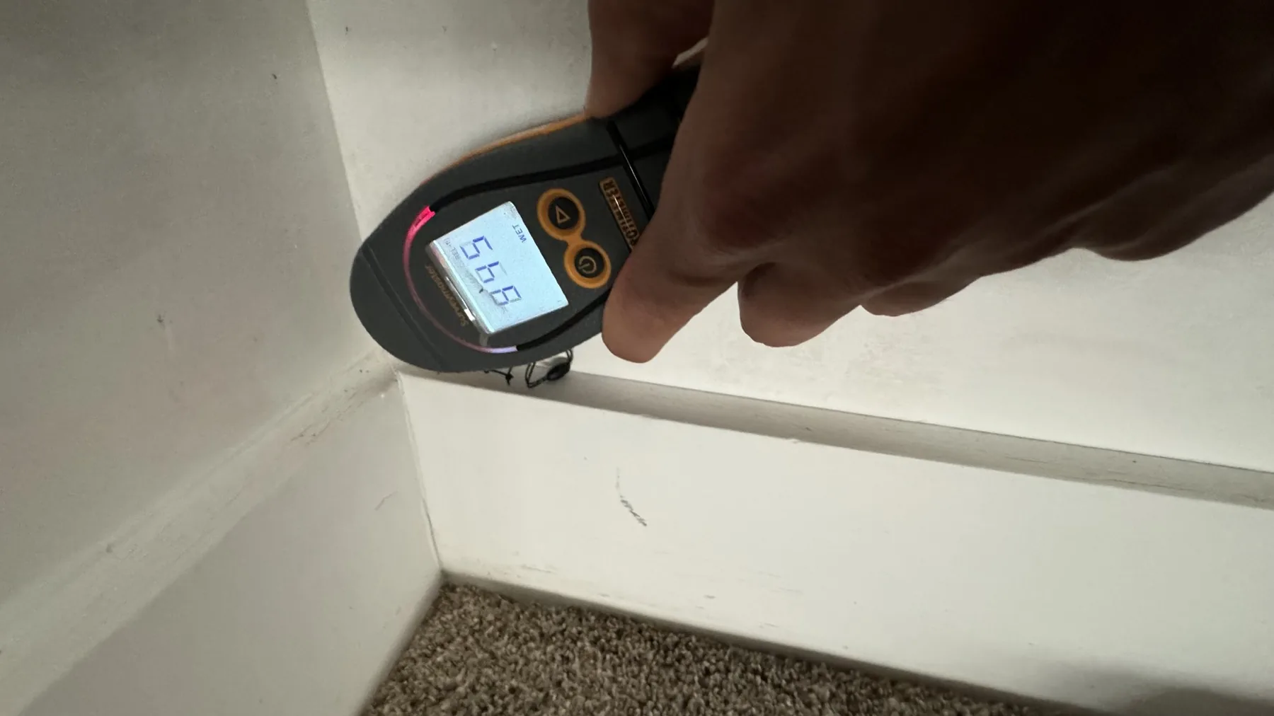 Mold growth on a wall